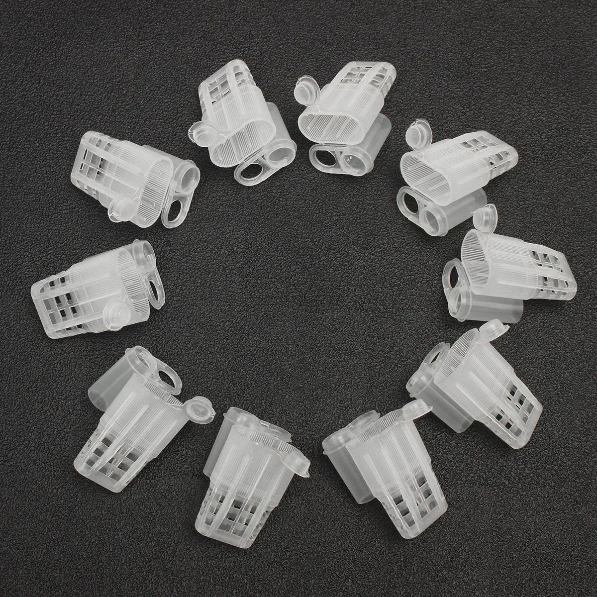 Queen Rearing Cultivating Catching 155 pcs Kit