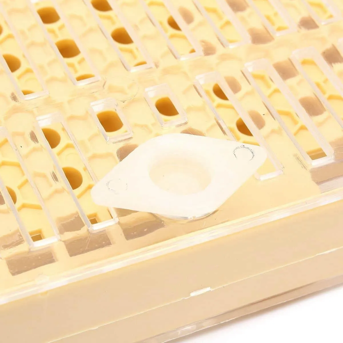 Queen Rearing Cultivating Catching 155 pcs Kit