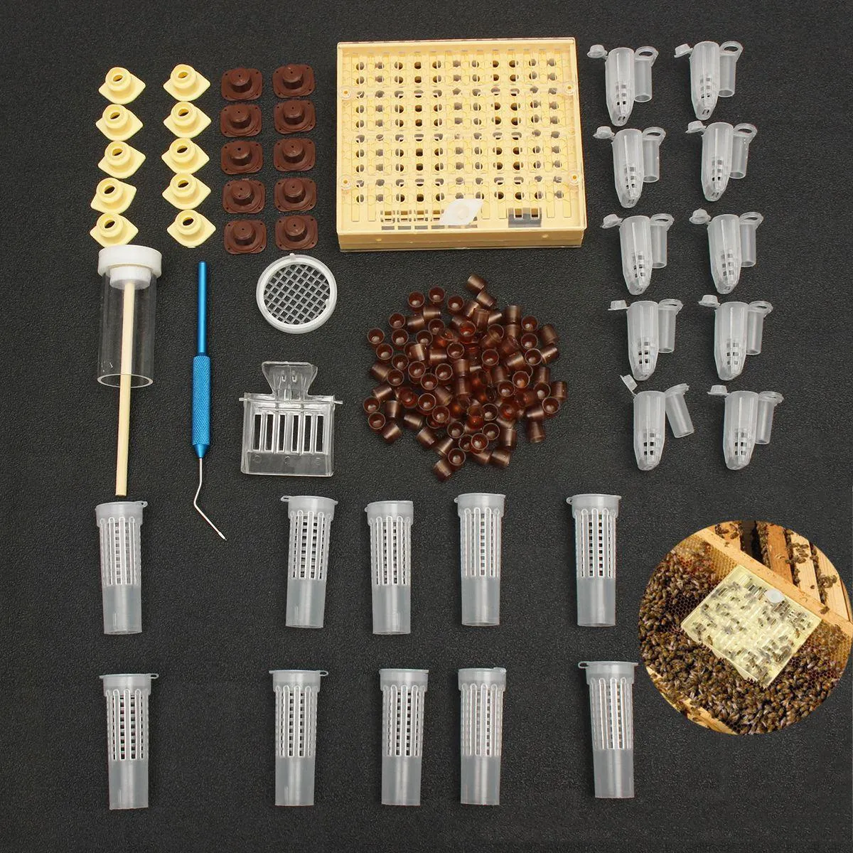 Queen Rearing Cultivating Catching 155 pcs Kit